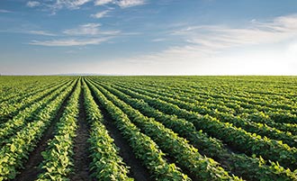 aprire un'azienda agricola